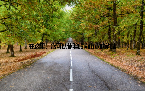 在这里, 您可以体验岭南山水的韵味