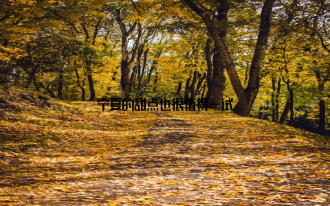 宁夏的甜点也很值得一试