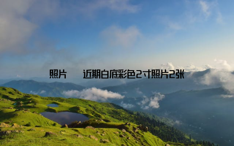 照片 – 近期白底彩色2寸照片2张