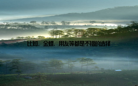 比如, 金蝶、用友等都是不错的选择