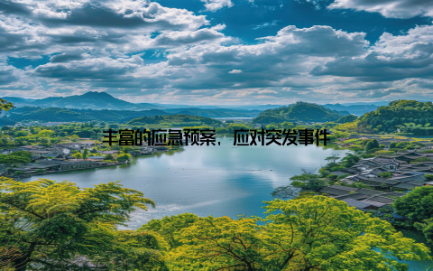 丰富的应急预案, 应对突发事件