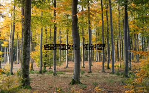 感受异国文化, 拓宽视野