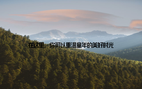 在这里, 你可以重温童年的美好时光