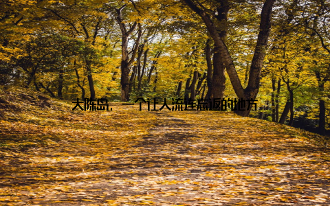 大陈岛, 一个让人流连忘返的地方