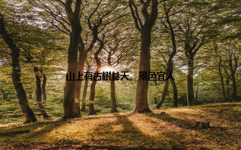 山上有古树参天, 景色宜人