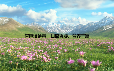 它色泽金黄, 口感香脆, 营养丰富