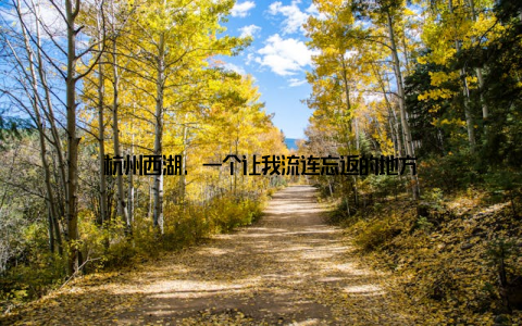 杭州西湖, 一个让我流连忘返的地方