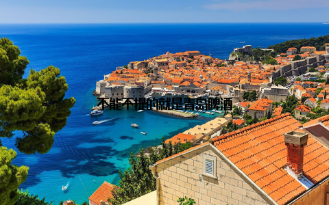 不能不提的就是青岛啤酒