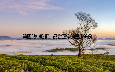 第四站小吃街, 品尝正宗的重庆美食