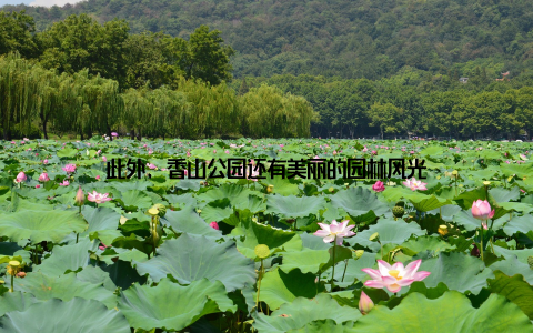 此外, 香山公园还有美丽的园林风光