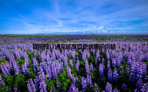 提前预订通常能享受更优惠的价格