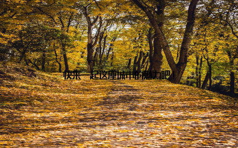 快来一起这座城市的魅力吧!
