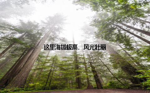 这里海拔极高, 风光壮丽