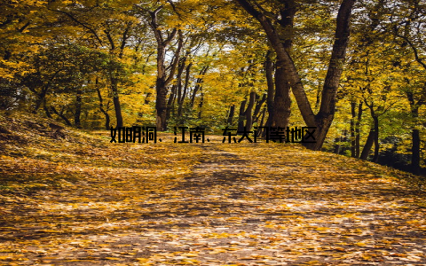 如明洞、江南、东大门等地区