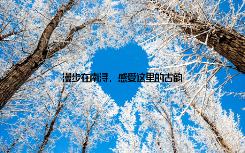 漫步在南浔, 感受这里的古韵