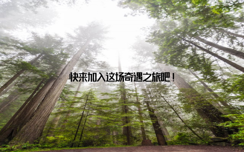 快来加入这场奇遇之旅吧!
