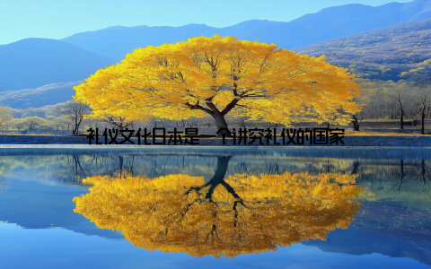 礼仪文化日本是一个讲究礼仪的国家